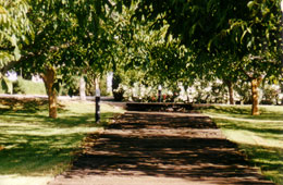 Paseo con traviesas de madera