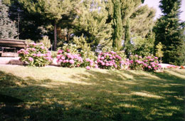 Macizos de floral y césped
