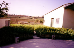 Vivero de plantas de viña